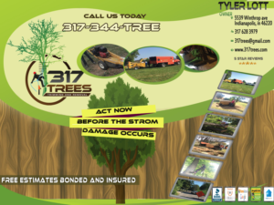 Print Design by Kowzi for this project | Design: #12711092