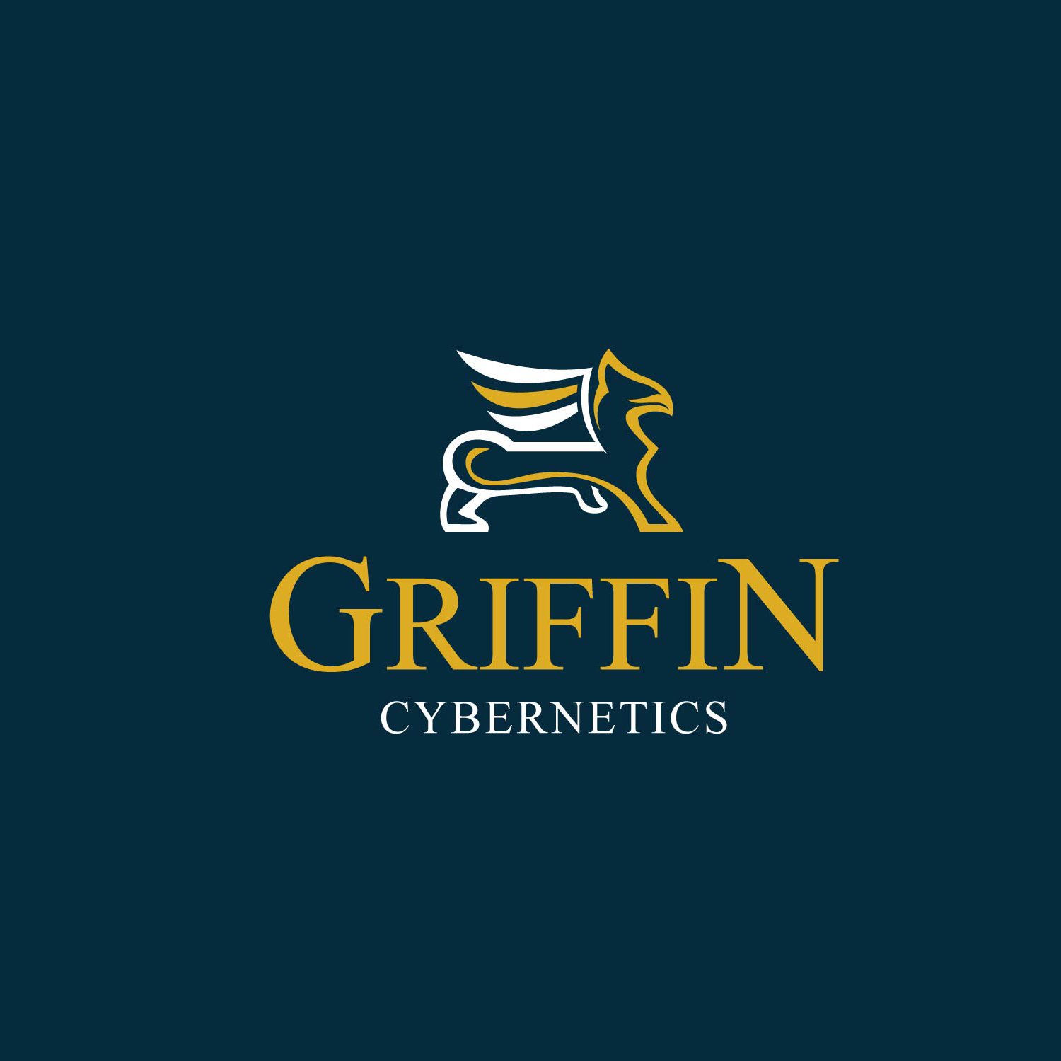 Logo Design by Next Screen Infotech for this project | Design #12705818