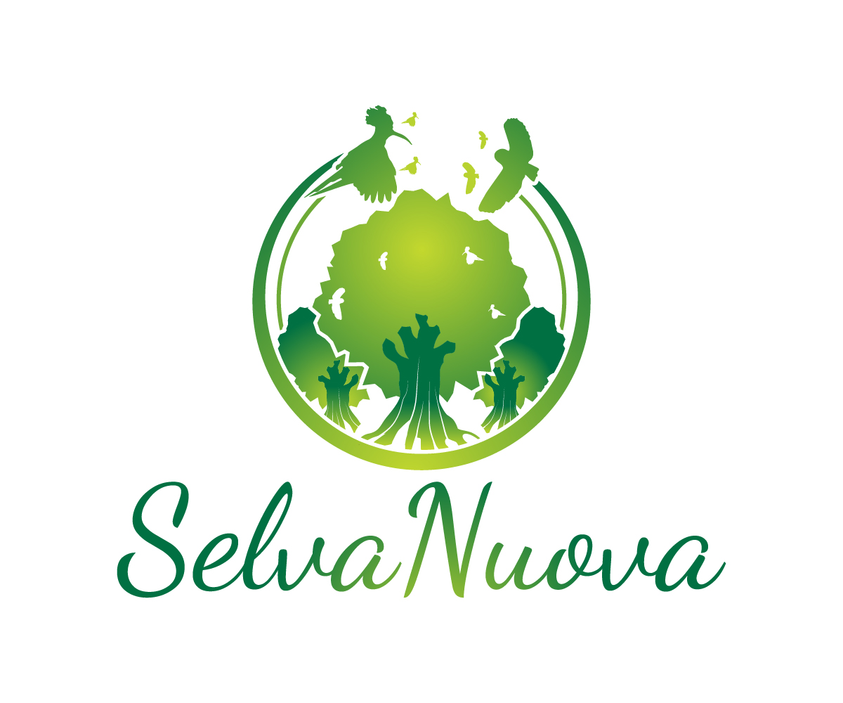Design de Logo par sangeloenriquez pour ZULUAGA DIANA LUCIA | Design #12937122