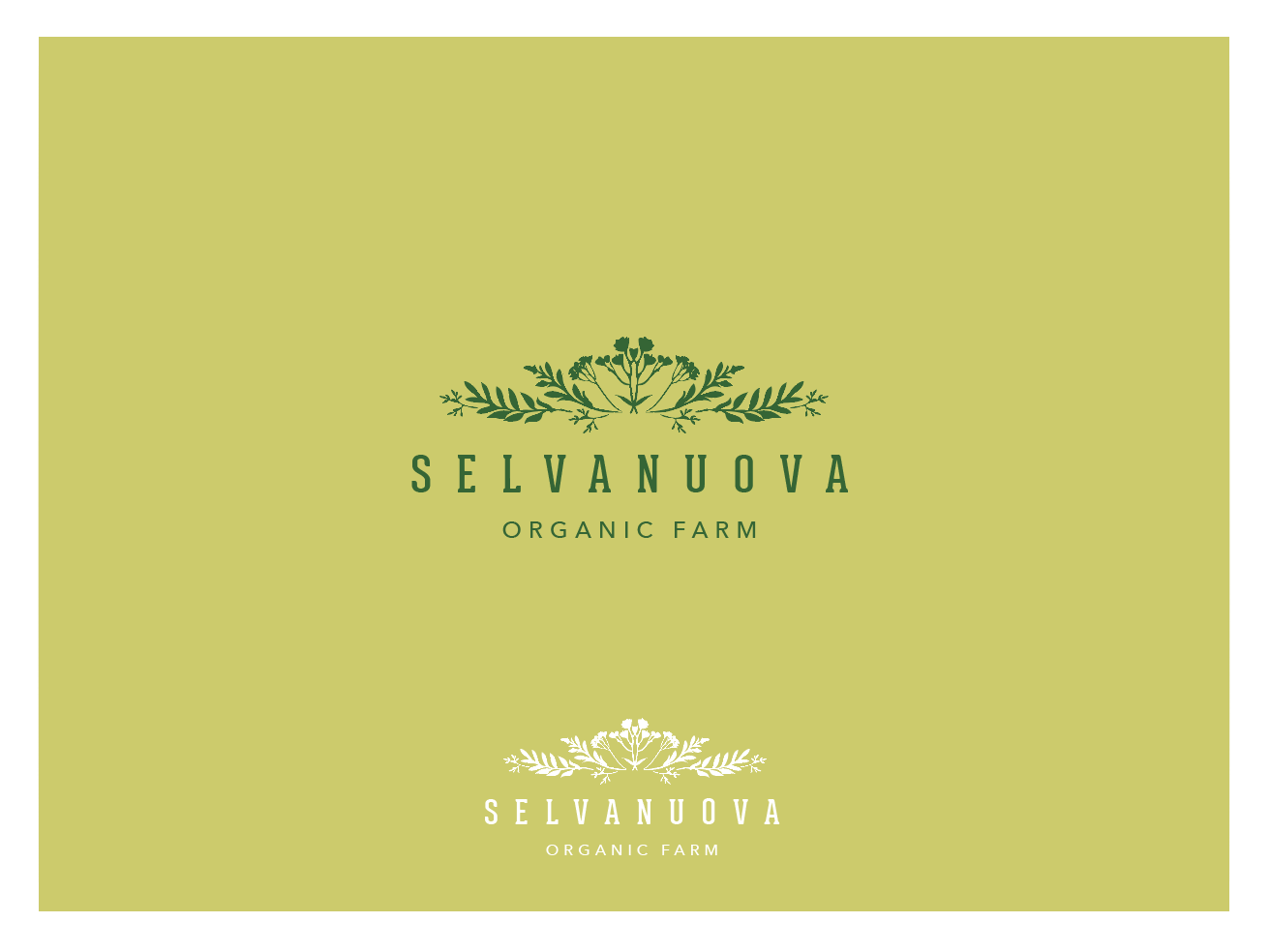 Logo Design by wonderland for ZULUAGA DIANA LUCIA | Design #12927877