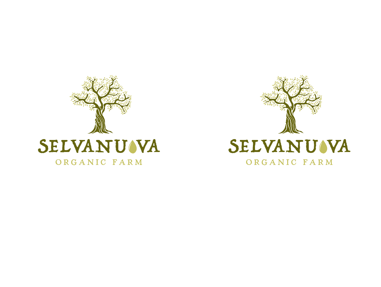 Logo Design by wonderland for ZULUAGA DIANA LUCIA | Design #12972012