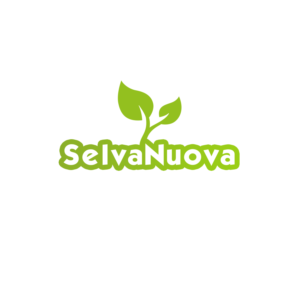 Logo Design by Fannan3D