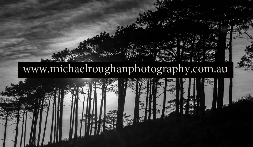 Business Card Design by rcordova for this project | Design #2429282