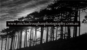 Business Card Design by rcordova