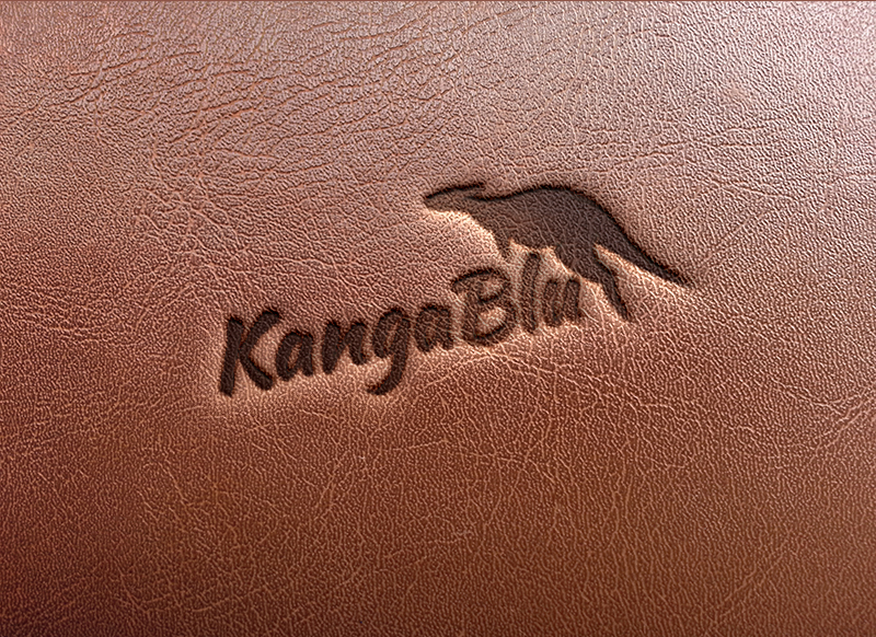 Logo Design by B.Tibéri for BluShark | Design #12722587