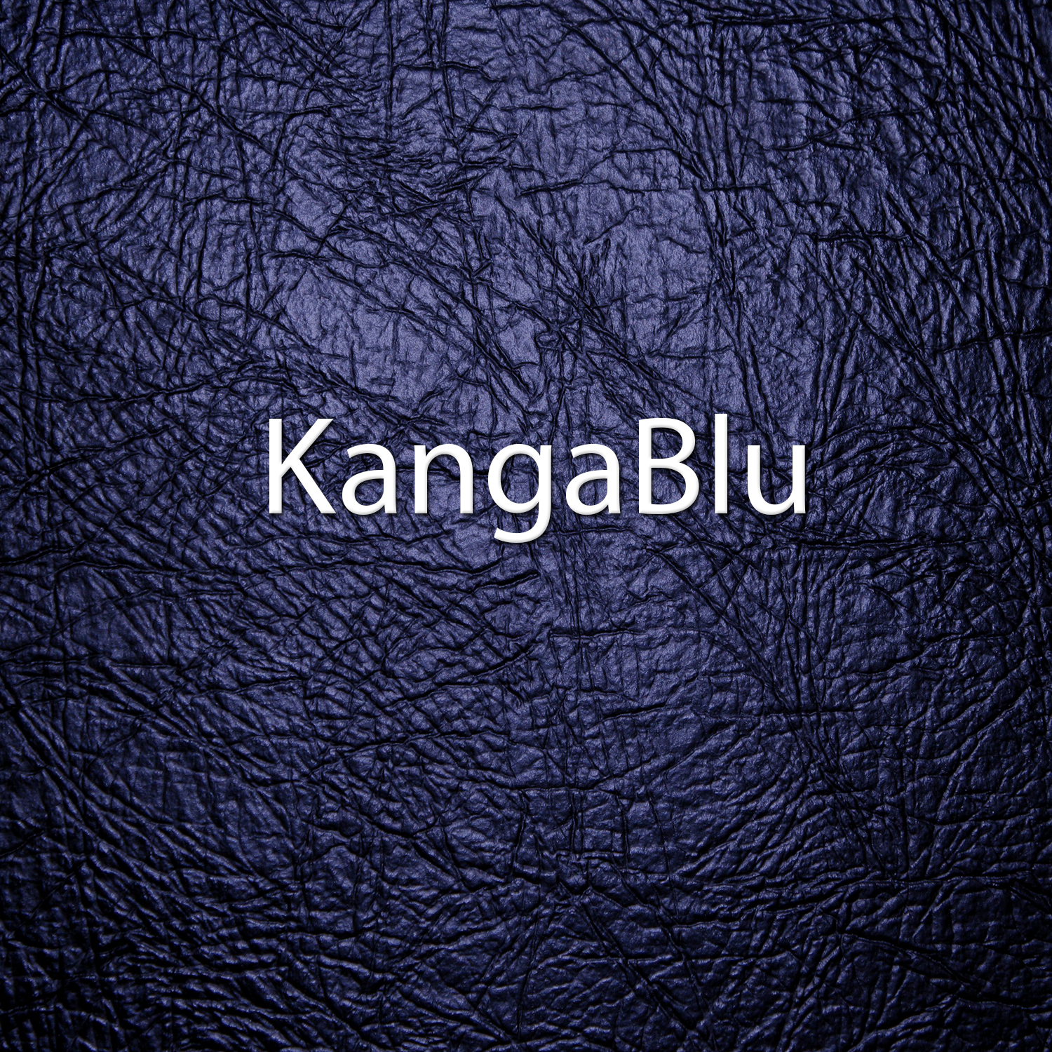 Logo Design by Krypton Designer for BluShark | Design #12721641