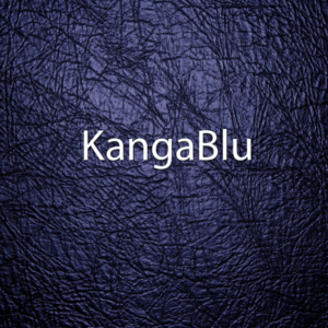 Logo Design by Krypton Designer for BluShark | Design: #12721641