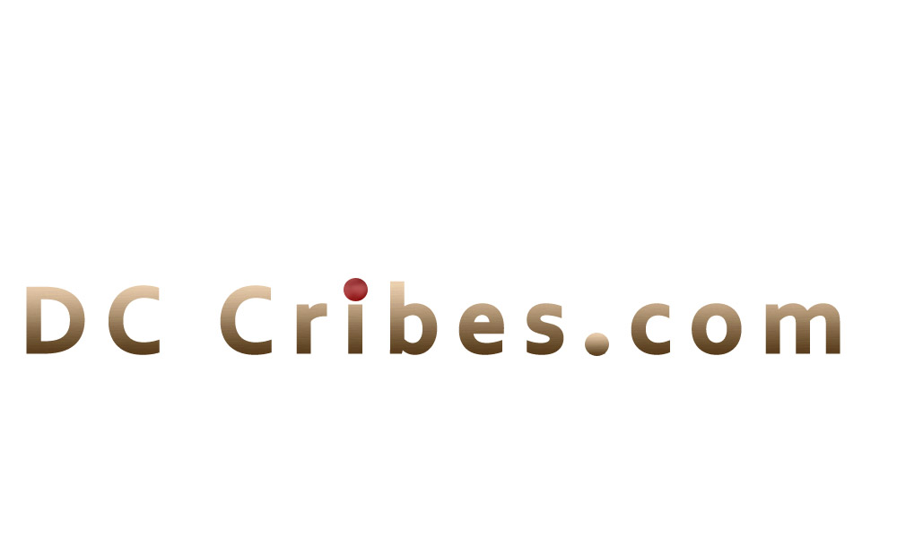 Logo Design by Sangam Technologies for SAC Inc. | Design #2498225