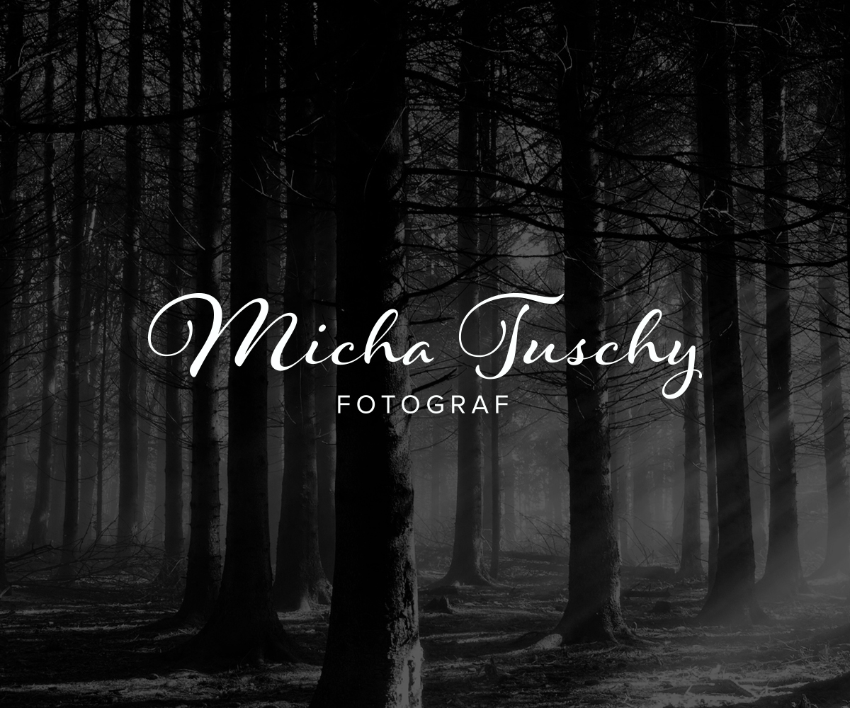 Diseño de Logo por Schaub Design para este proyecto | Diseño #12742096