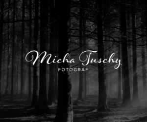 Diseño de Logo por Schaub Design para este proyecto | Diseño: #12742096