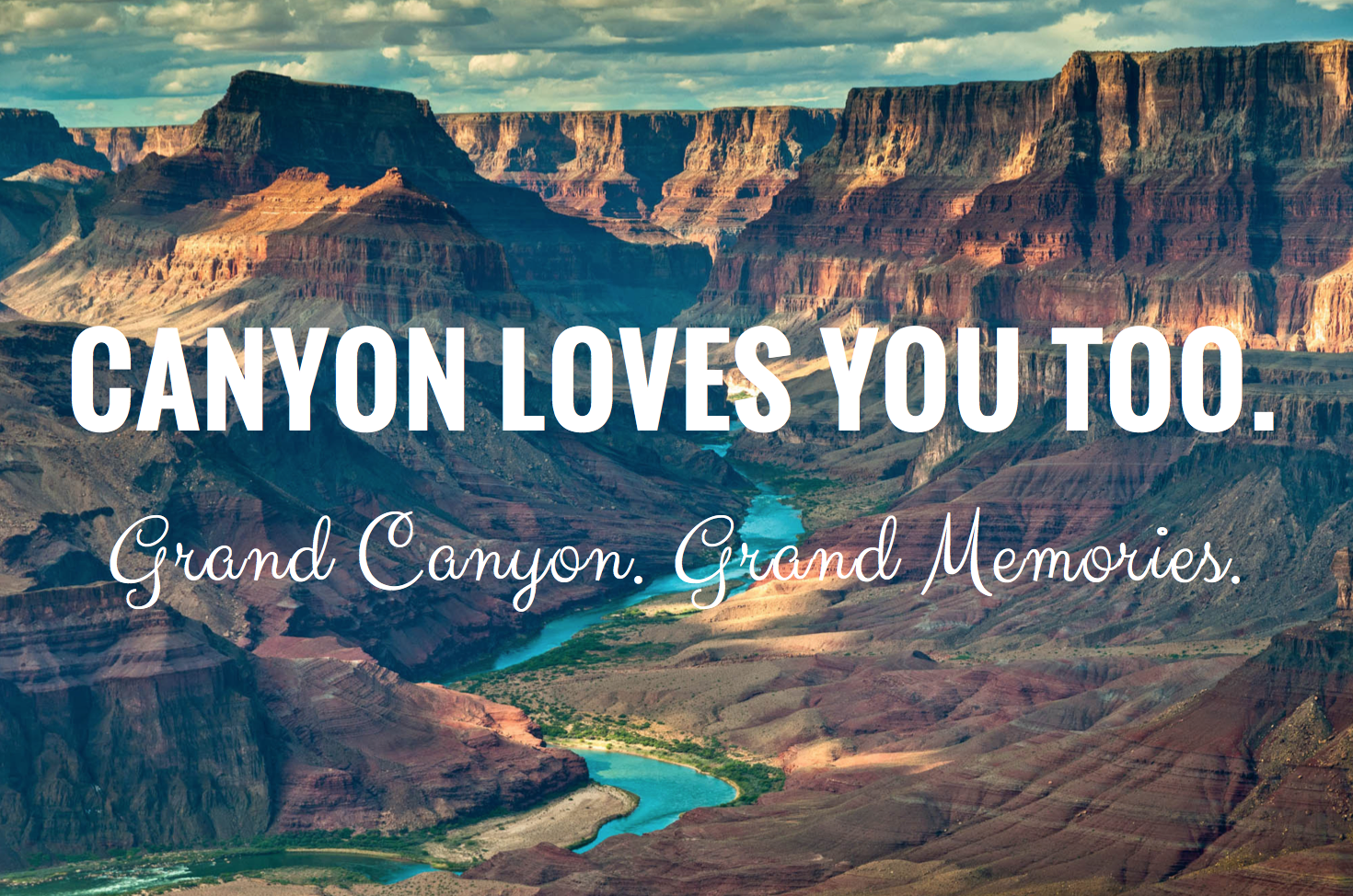 Design de T-shirt par shekharsinha87 pour ce projet | Design #12802161