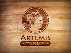 Logo Design by PRstudios