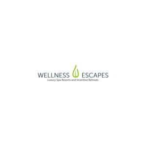 Logo Design by SVN Designs