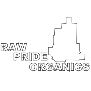 Logo Design by kriptum