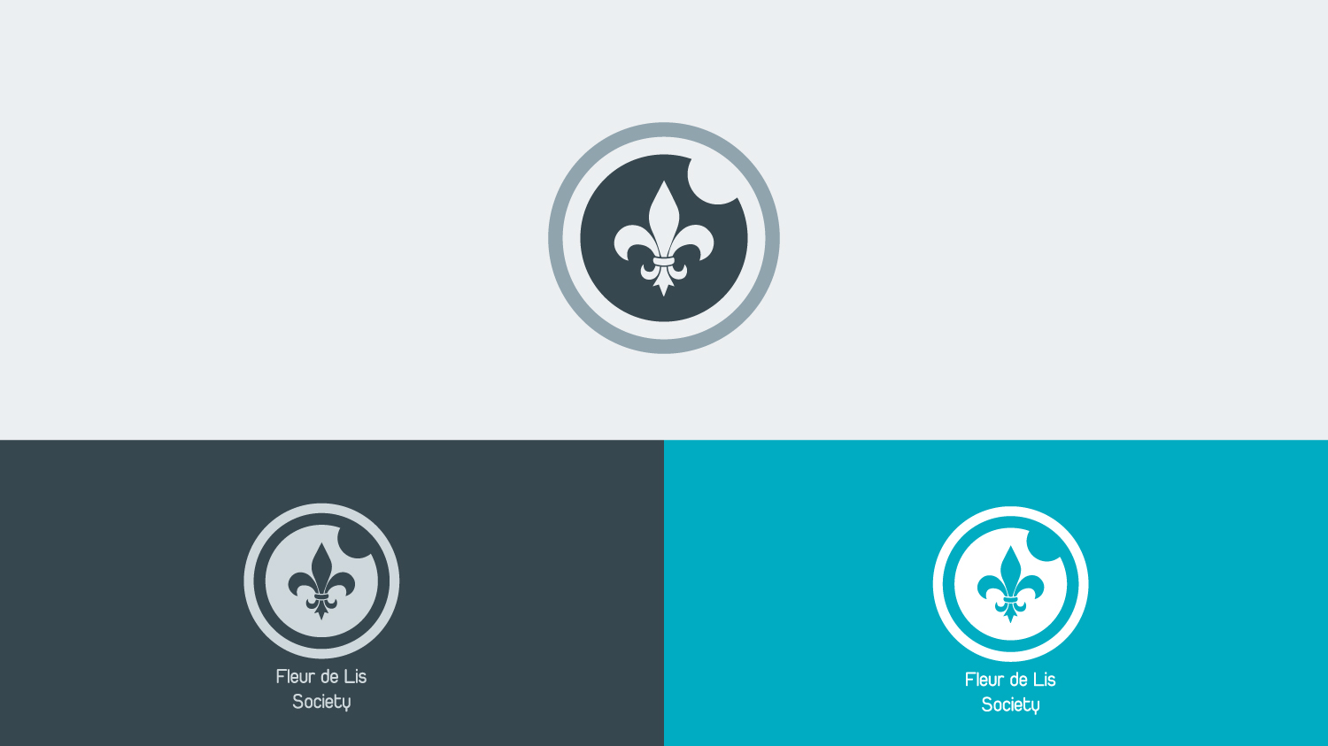 Diseño de Logo por Armaghan Bashir para New Orleans Academy of Ophthal | Diseño #12792462