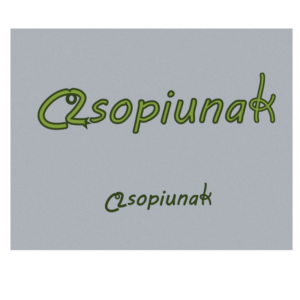 Logo Design by Aami