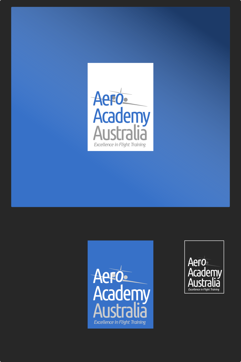 Logo Design by ChinMaya for Australian Flight Examiners Pty Ltd | Design #12772695