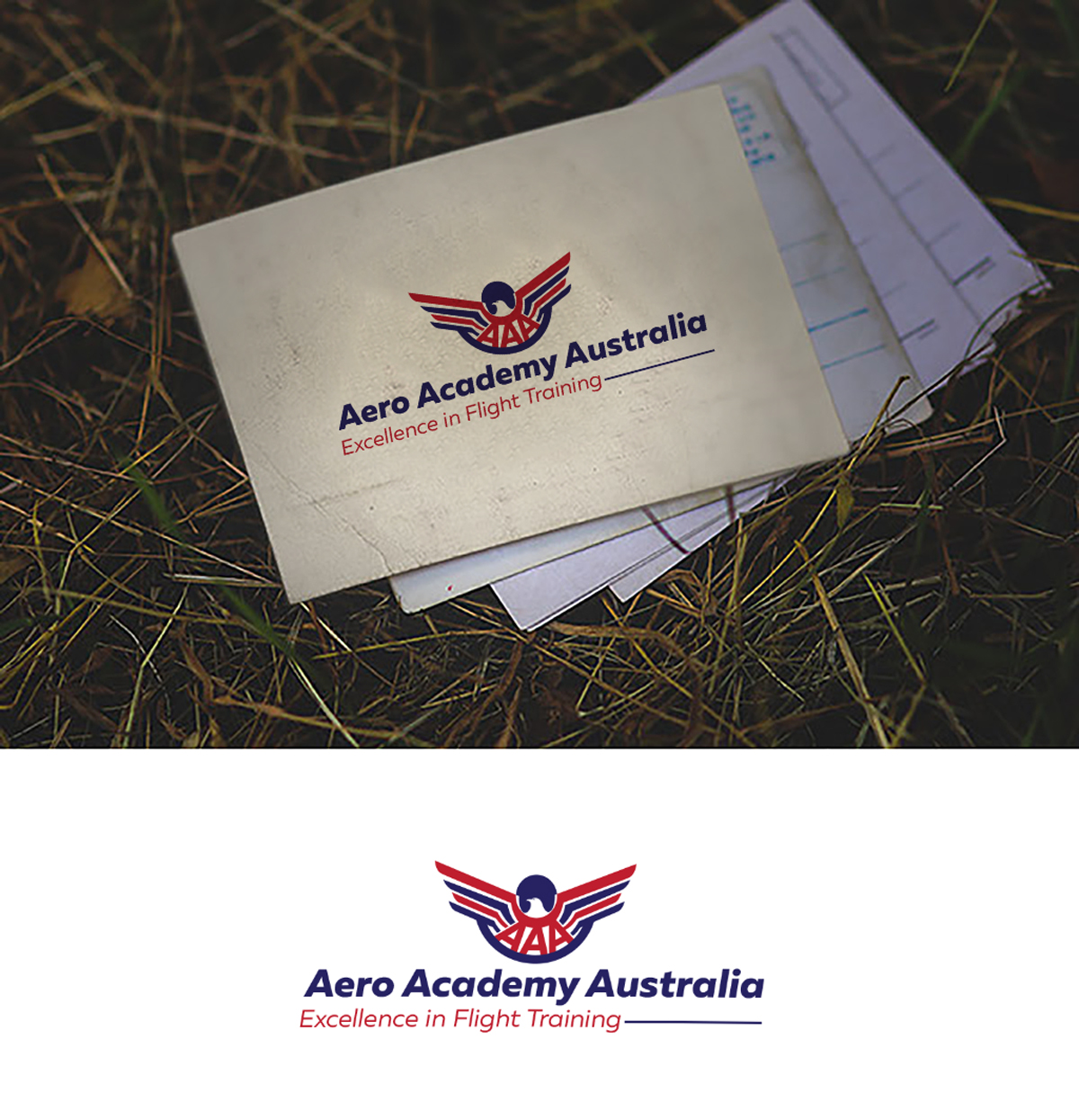 Logo Design by Impressive Solutions for Australian Flight Examiners Pty Ltd | Design #12726756