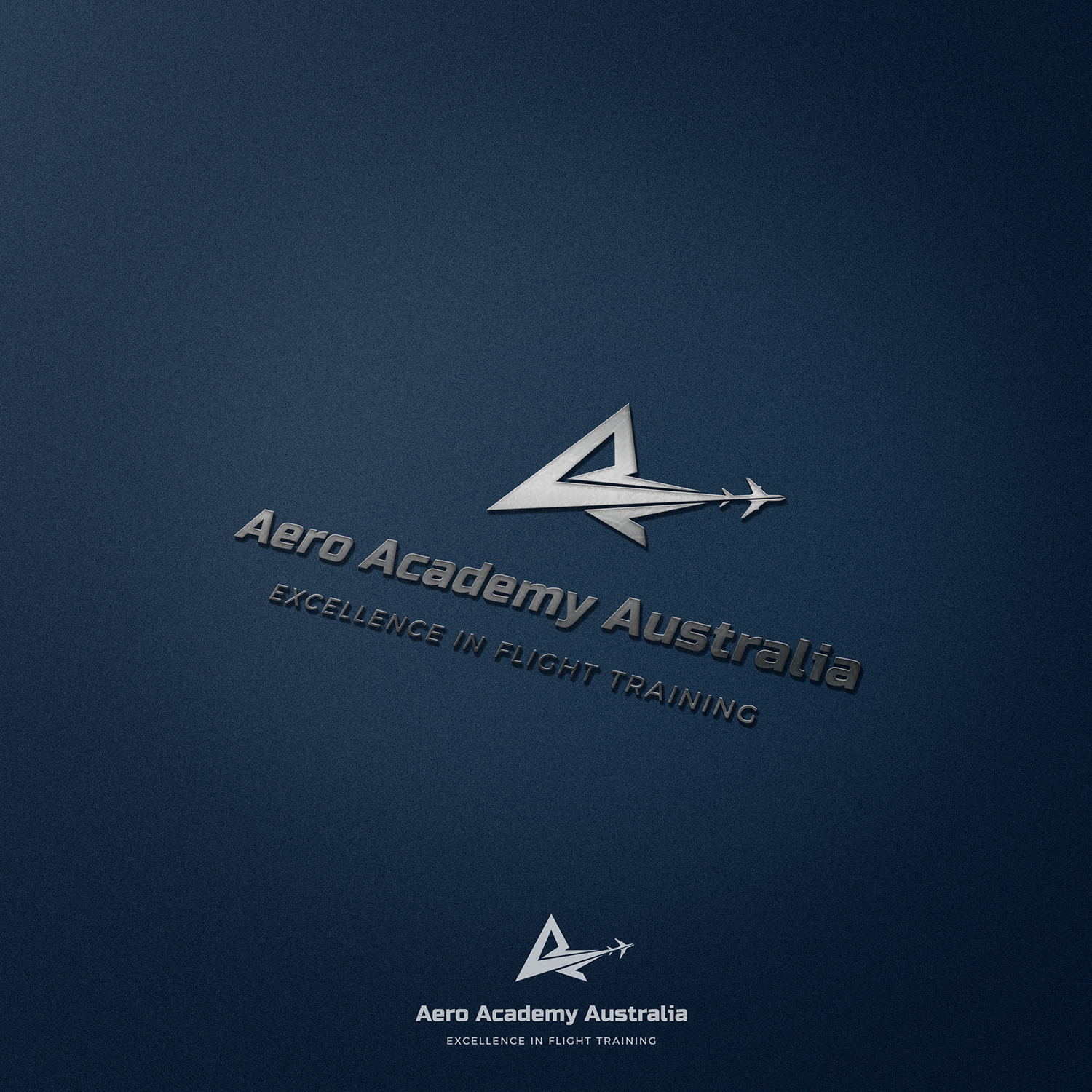 Logo Design by CSARTWORK for Australian Flight Examiners Pty Ltd | Design #12793705