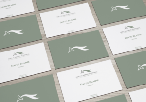 Logo Design by Sen Design for Australian Flight Examiners Pty Ltd | Design: #12723715