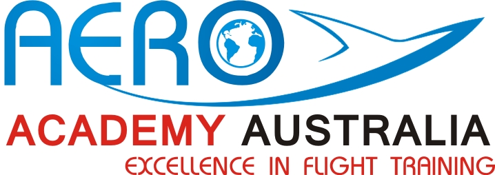 Logo Design by Graphic Designer (VNS) for Australian Flight Examiners Pty Ltd | Design #12729254