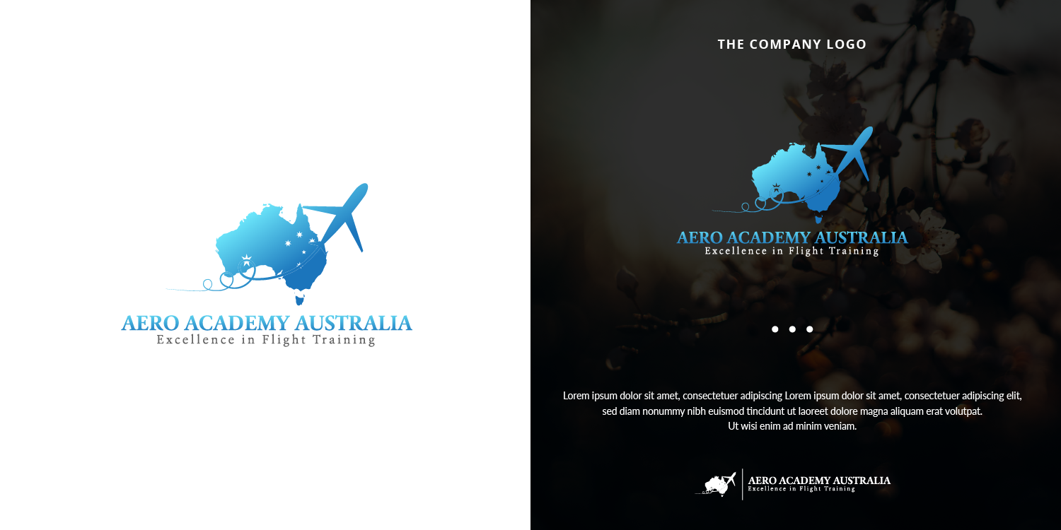 Diseño de Logo por Julianur Rahmani para Australian Flight Examiners Pty Ltd | Diseño #12821915