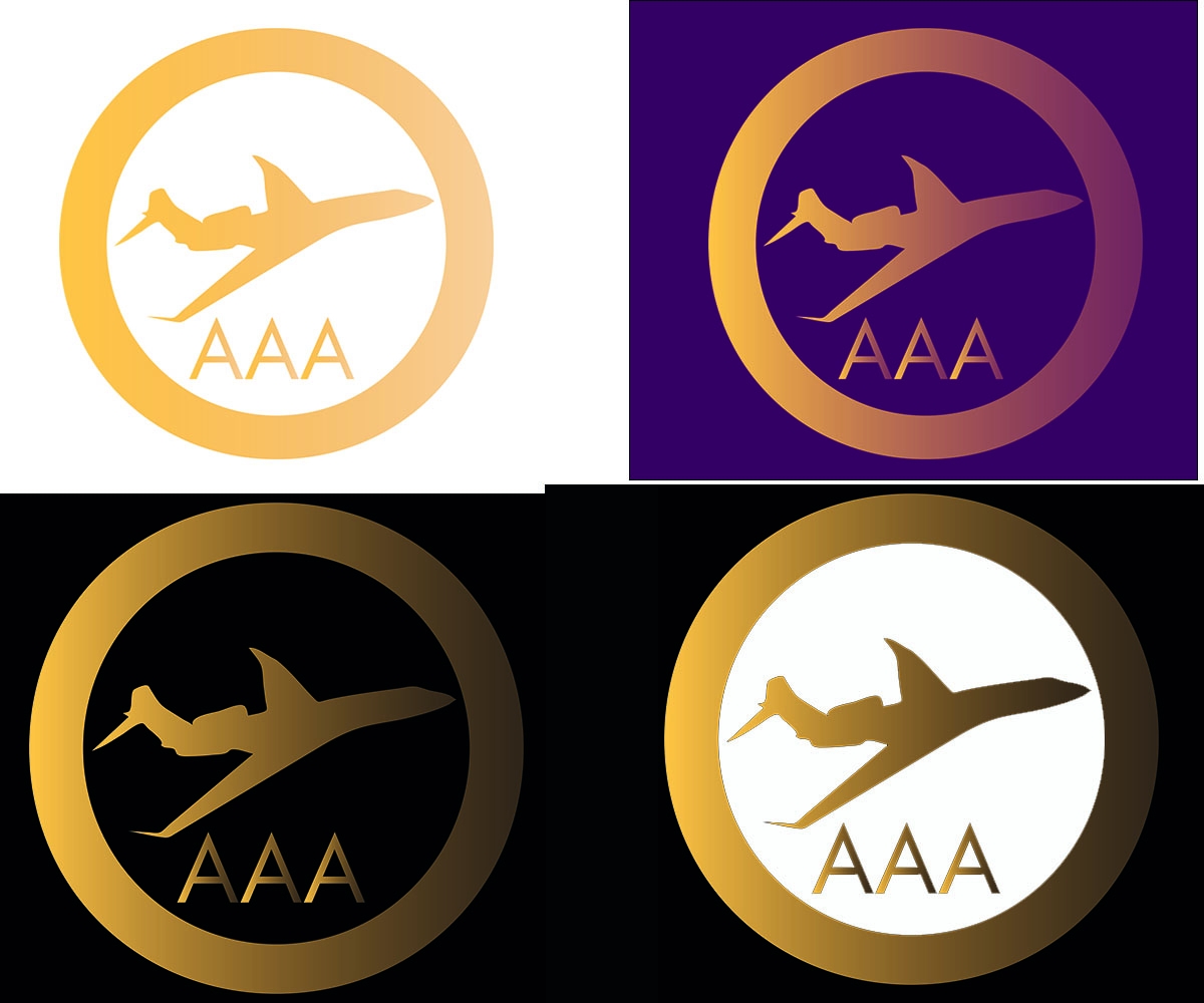 Logo Design by m.g.gray for Australian Flight Examiners Pty Ltd | Design #12792665