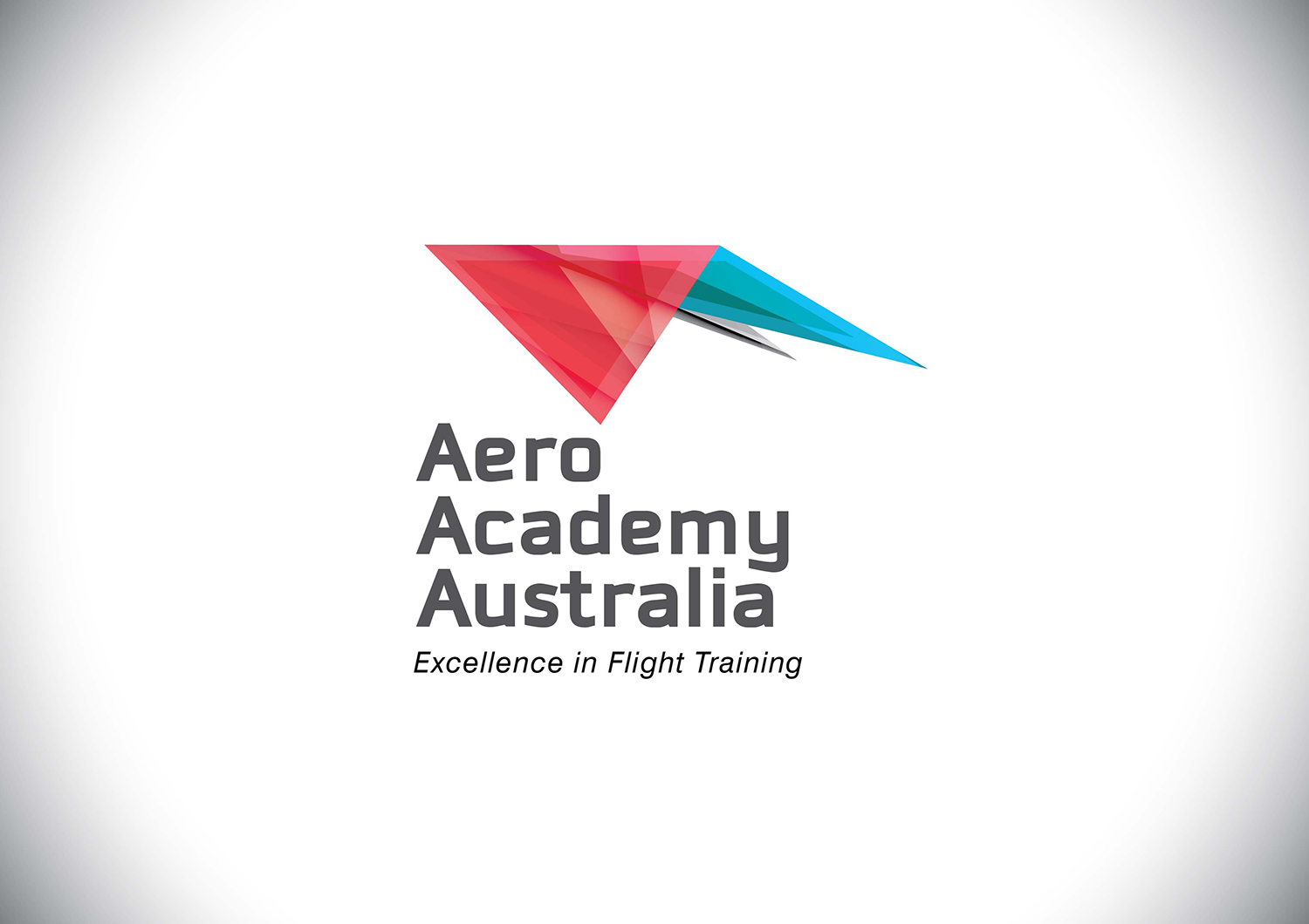 Logo Design by typeo1978 for Australian Flight Examiners Pty Ltd | Design #12738239