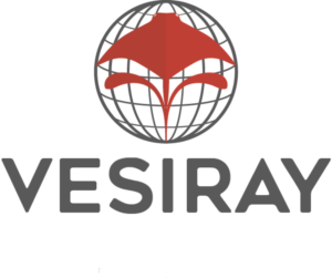 Diseño de Logo por steffenc367 para Vesiray  | Diseño #12760335
