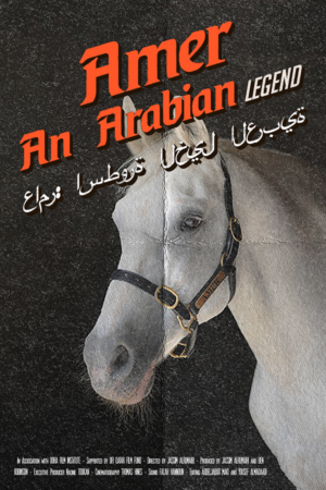 Poster Design by dotnot