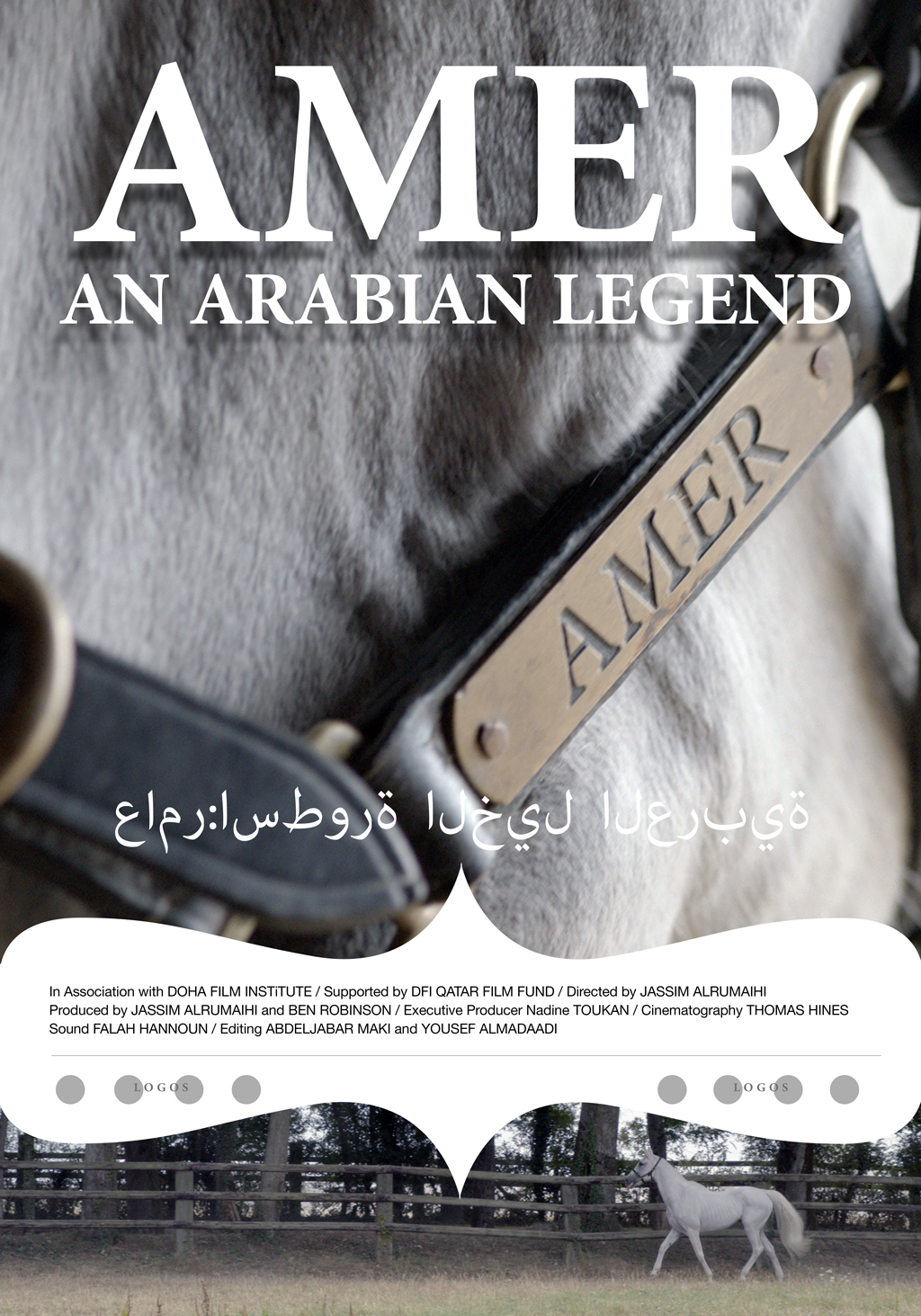 Poster Design by Graphicusa for this project | Design #12732316