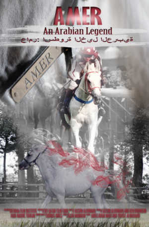 Poster Design by boki_9091