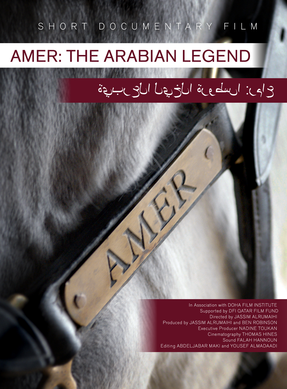 Poster Design by iztok.brodnjak for this project | Design #12749178