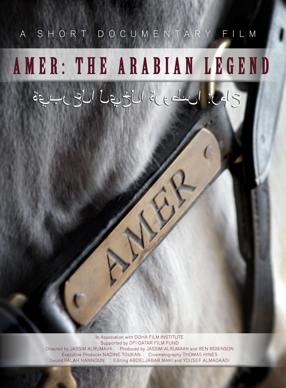 Poster Design by iztok.brodnjak for this project | Design #12749180