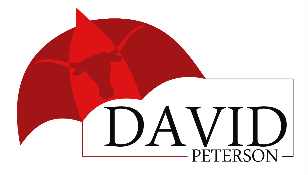 Logo Design by Saarthak Development and Business Solutions for David Peterson State Farm | Design #12764110