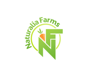 Logo Design by Jay Design