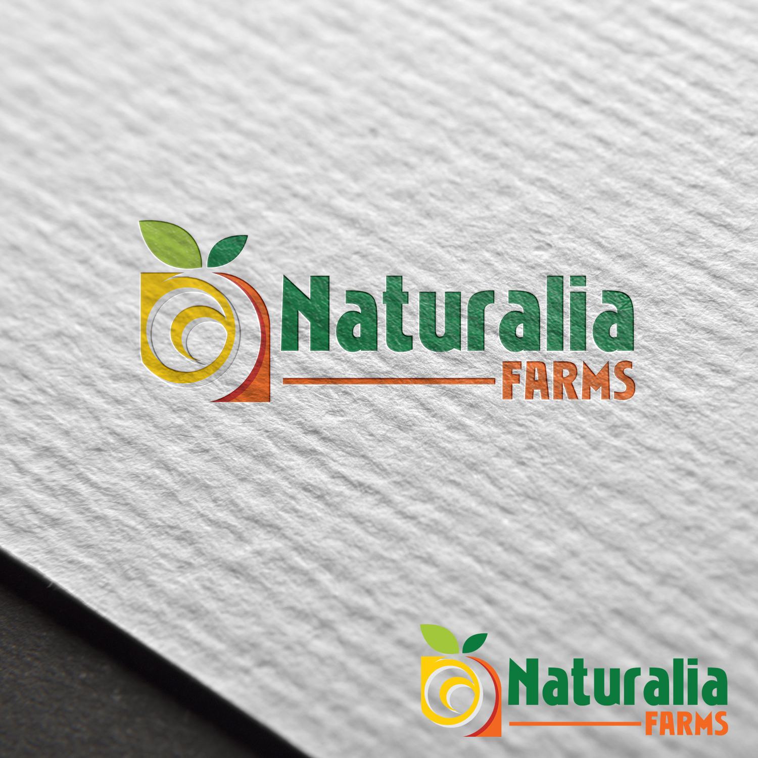 Logo Design by Next Screen Infotech for Naturalia Farms | Design #12787517