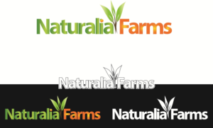 Logo Design by MD Jabedur Rahman