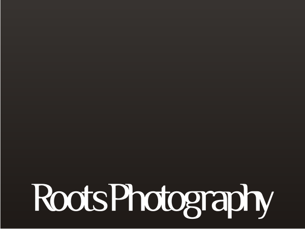 Logo Design by auan for this project | Design #524825