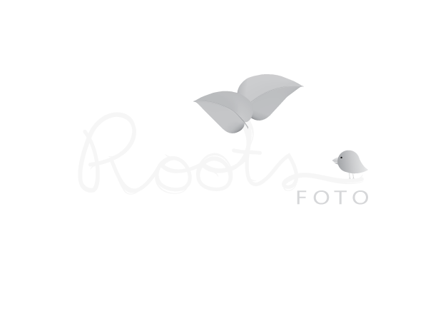 Logo Design by Littleredhoodii for this project | Design #530185