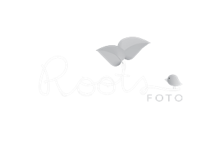Logo Design by Littleredhoodii for this project | Design: #530185