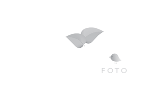 Logo Design by Littleredhoodii for this project | Design: #540686