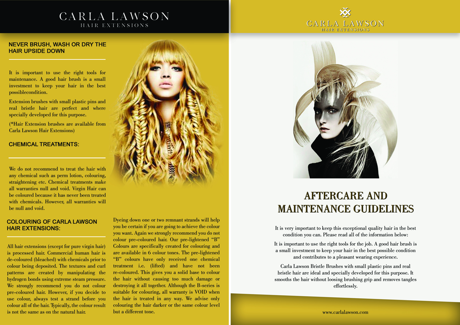 Design de Flyer par Jyotsna pour ce projet | Design #12783043