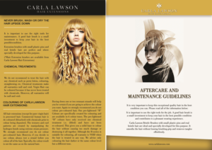 Flyer Design by Jyotsna for this project | Design #12783043