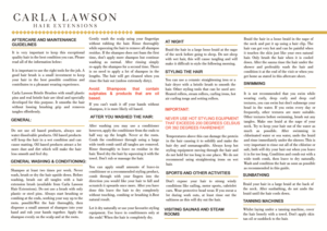 Diseño de Flyer por Jyotsna para este proyecto | Diseño: #12783044