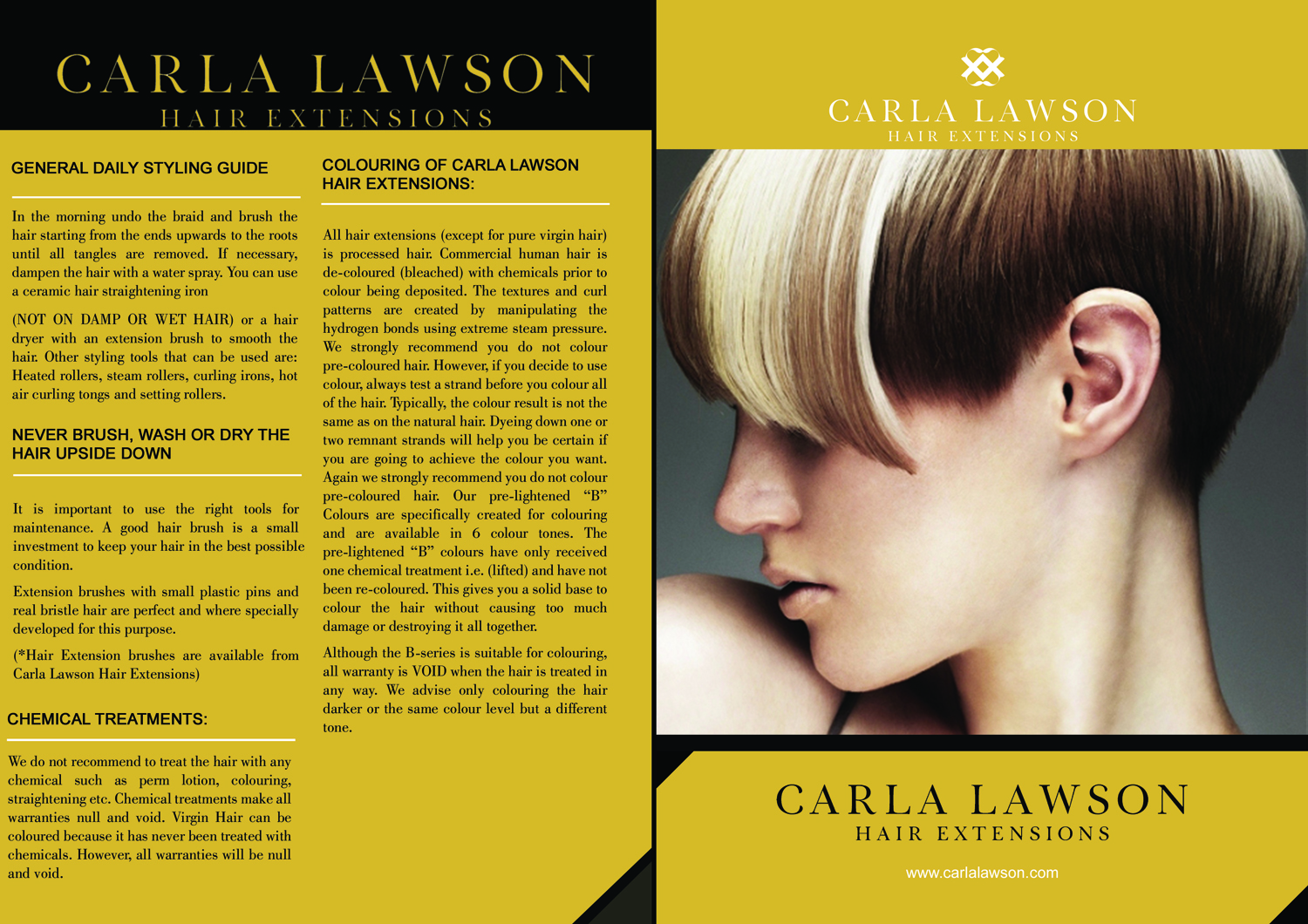 Flyer Design by Jyotsna for this project | Design #12783045