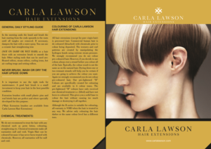 Diseño de Flyer por Jyotsna para este proyecto | Diseño: #12783045