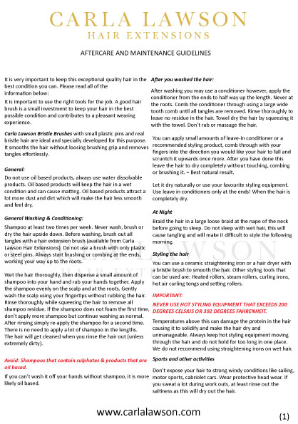 Flyer Design by Parul for this project | Design #12770348