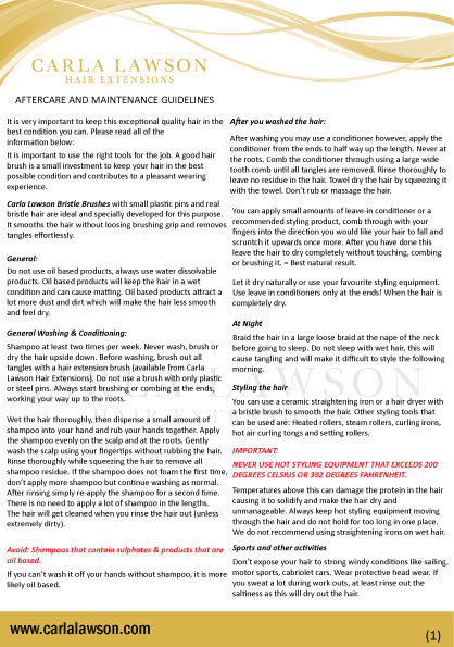 Flyer Design by Parul for this project | Design #12774394