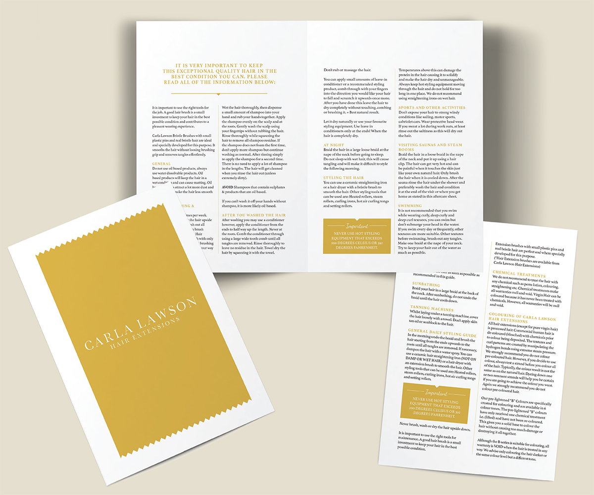 Design de Flyer par MrsBlatch pour ce projet | Design #12743880